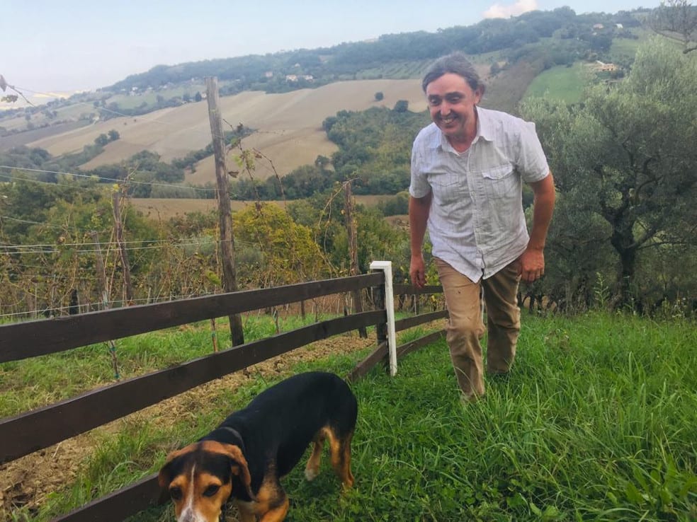 Graham Herbert taking a walk in his vineyard
