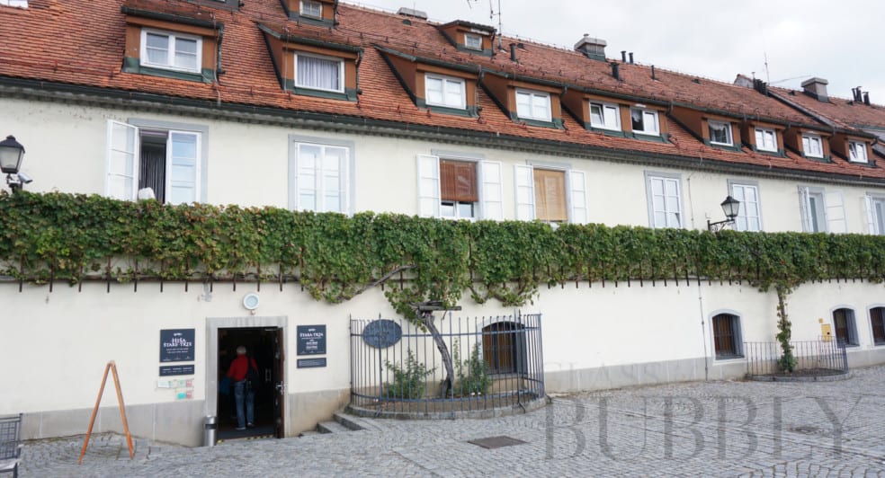 The old vine house