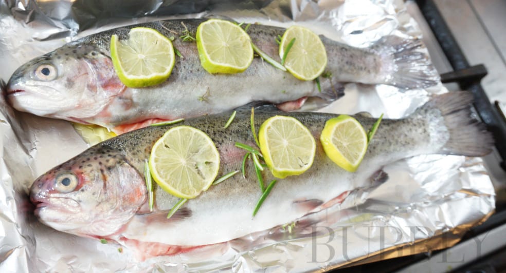 Fresh Trout prepared with slices of lime and herbs