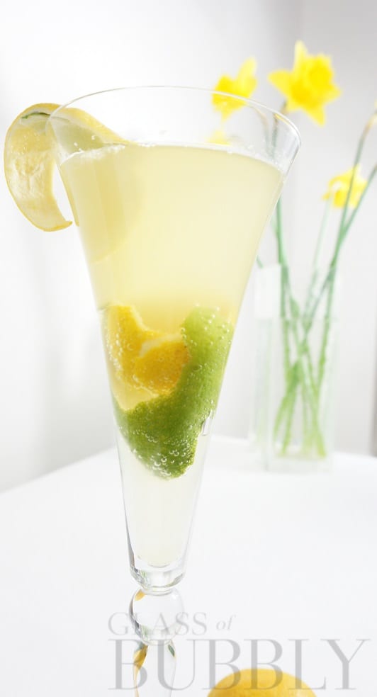 Zesty & Zingy Cocktail
