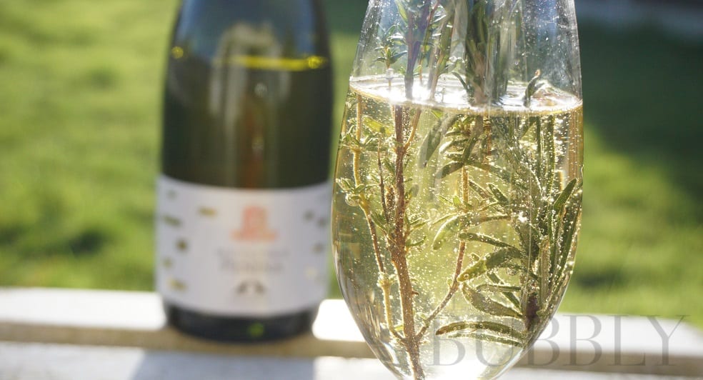 Rosemary & Thyme Cocktail