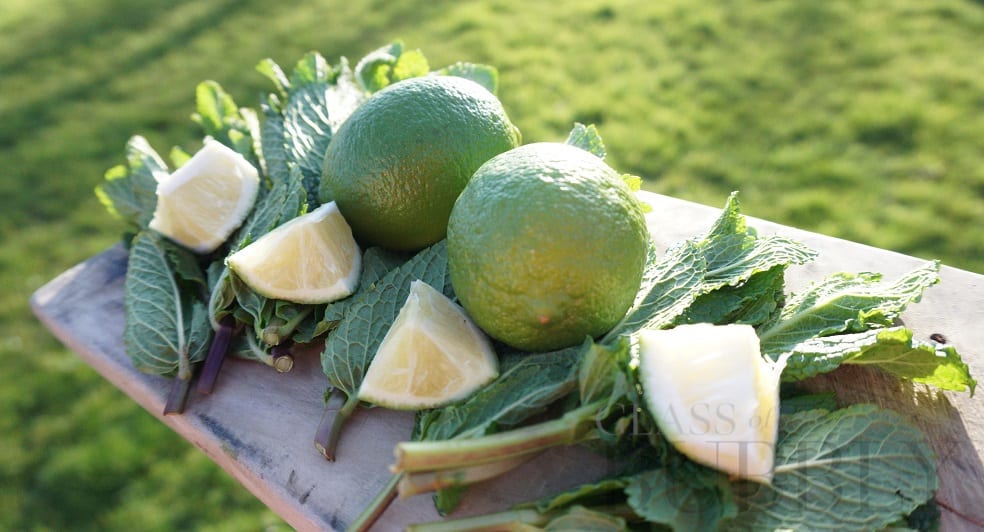 Mint & Lime