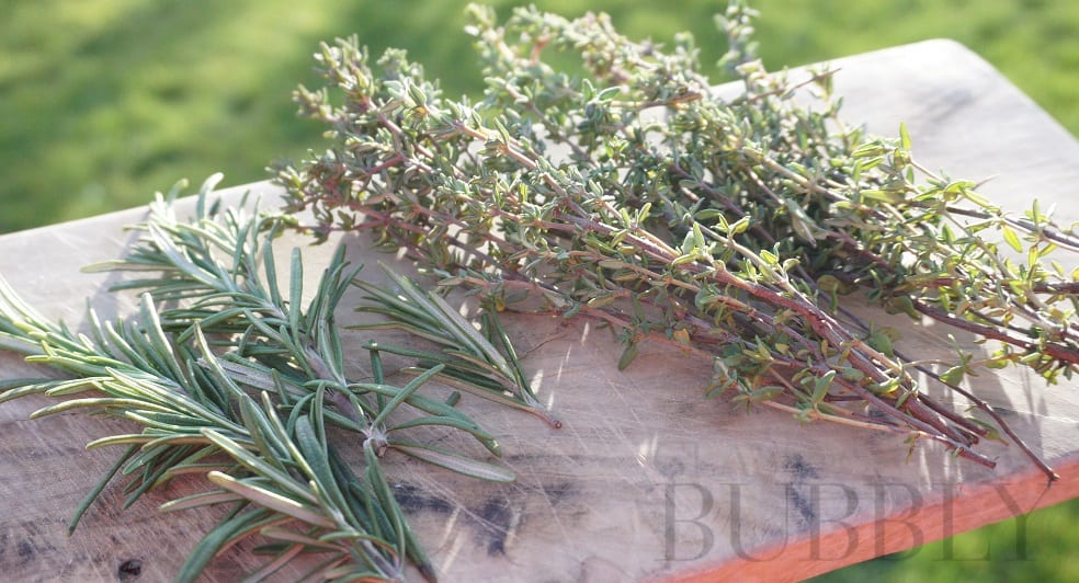 Rosemary & Thyme