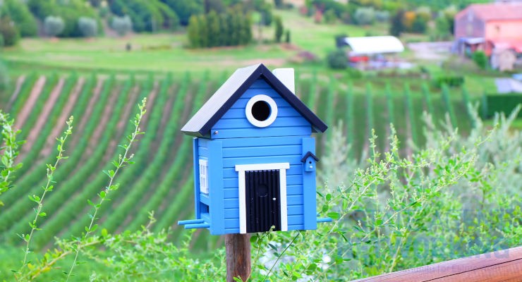 small house bird box