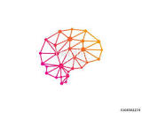 Cerebellum Network