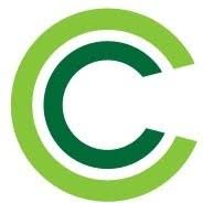 Concept Consultant
