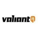 ValiantiQ Inc