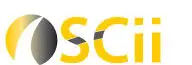 ASCII Group LLC