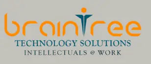 Braintree Technology Solutions