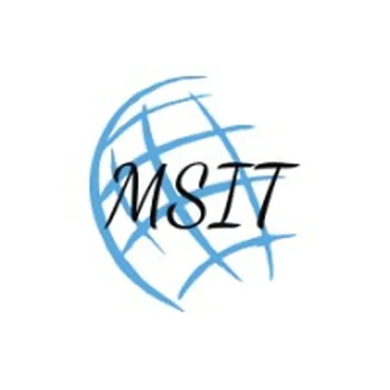 MS INFO TECH LLC