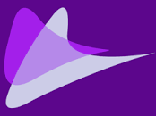Bright Purple