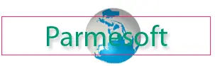 Parmesoft Inc.
