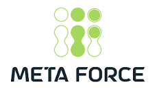Meta Force Technology Staffing LLC