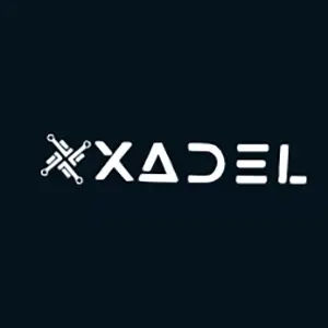 XADEL IT INC