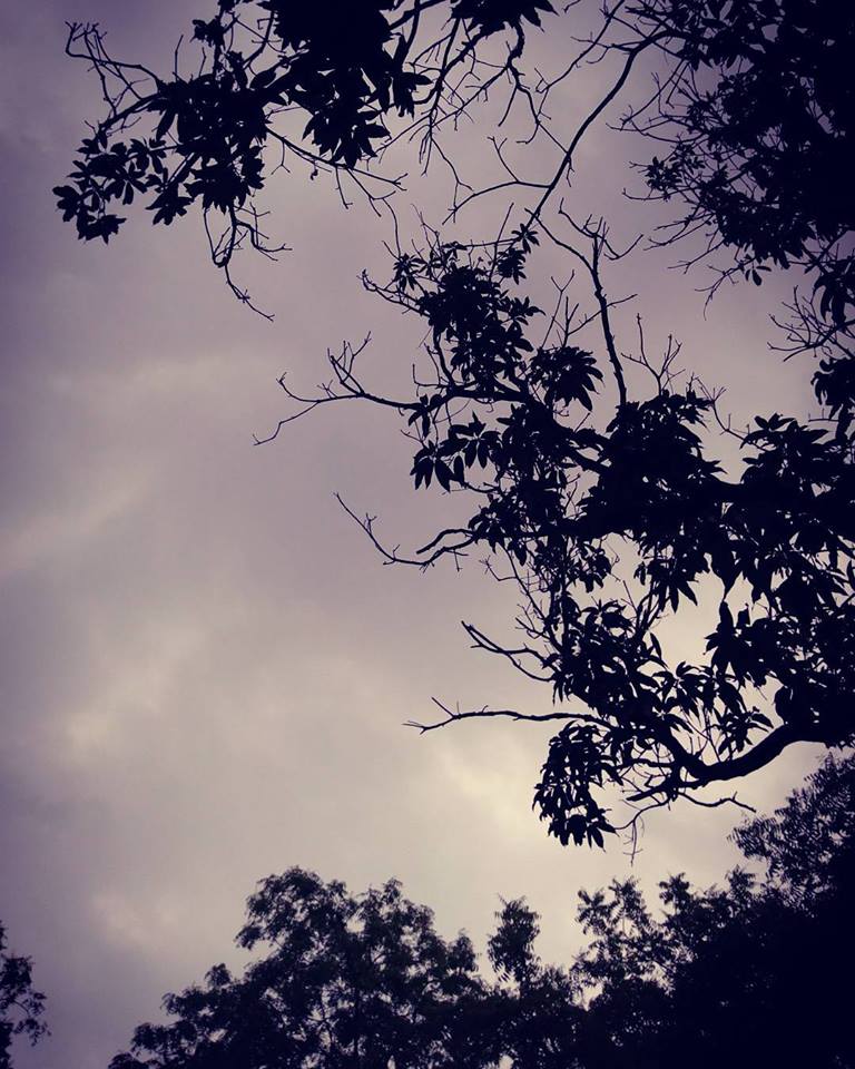 blog
