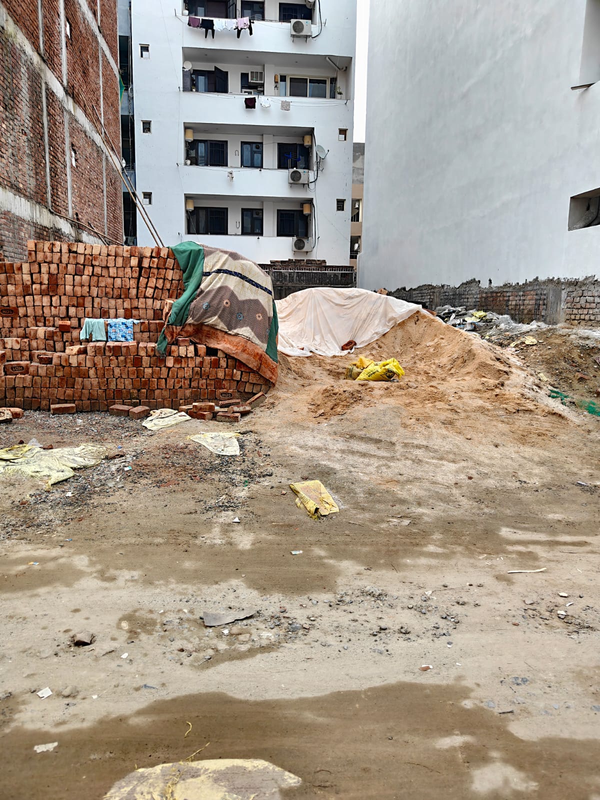 3 BHK Builder Floor, Sector 43, Gurgaon