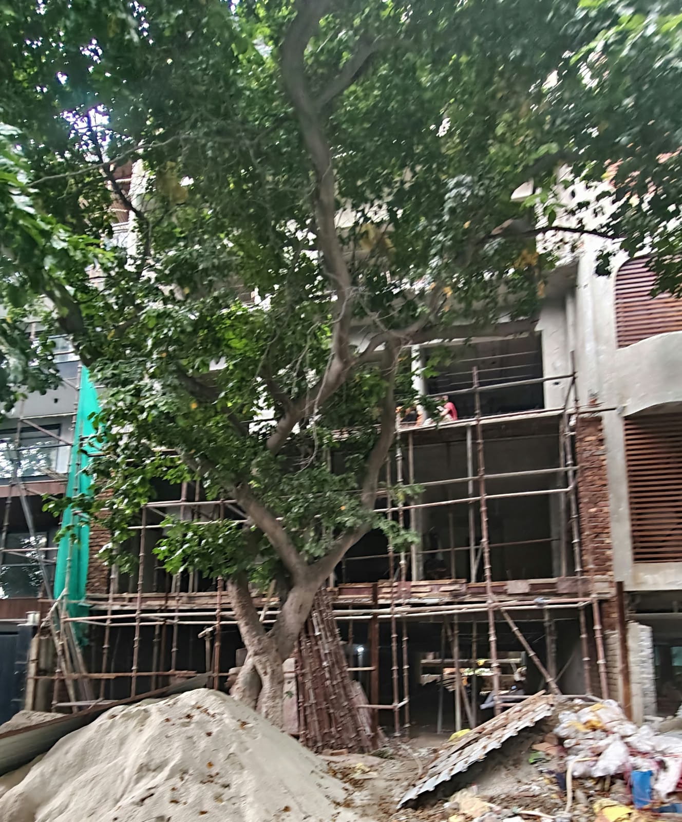 4 BHK Builder Floor, DLF Phase 2, Block P, Gurgaon
