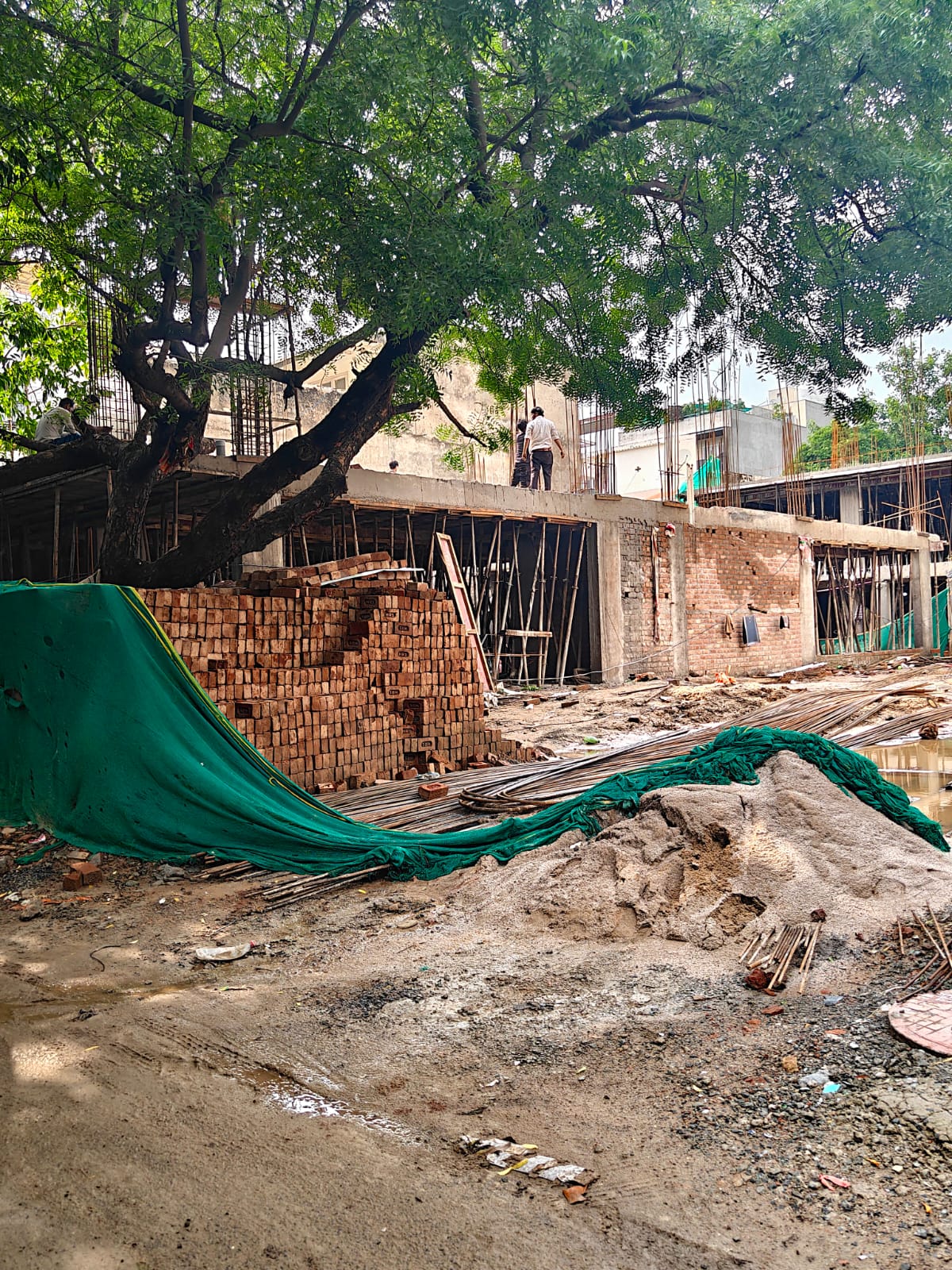 4 BHK Builder Floor, Sushant Lok 1, Block C, Gurgaon