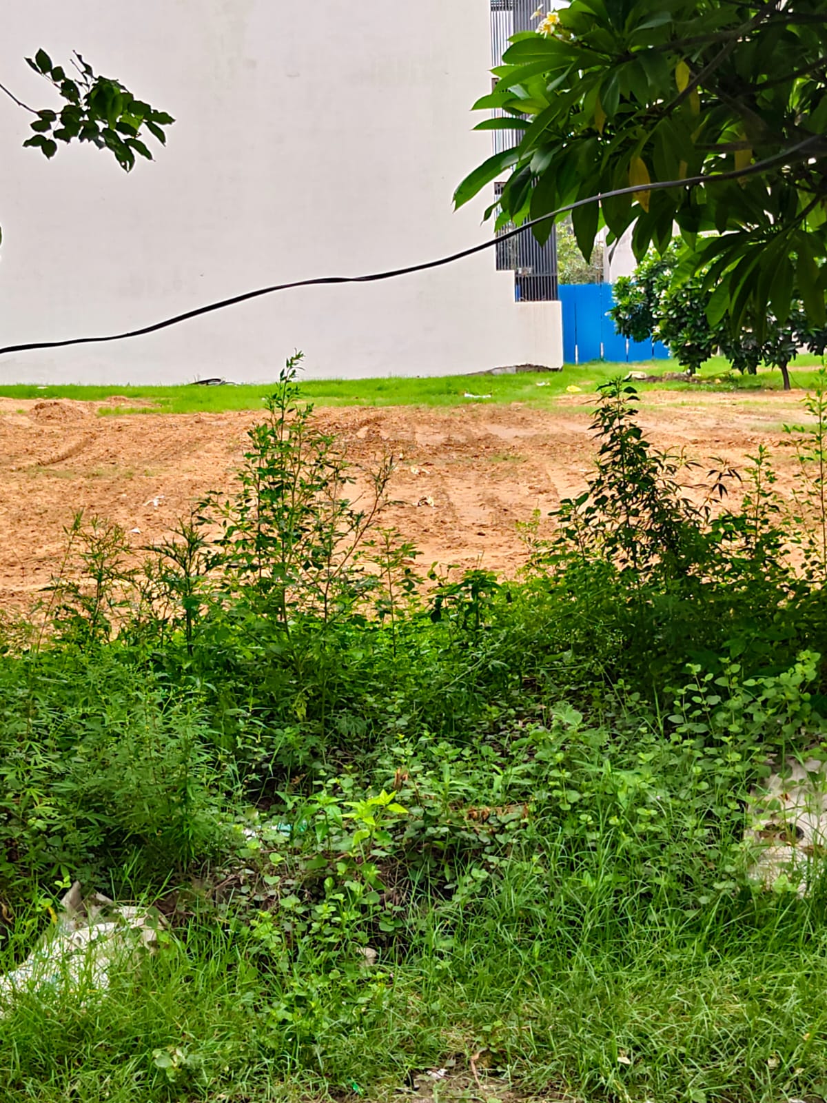 4 BHK Builder Floor, Anant Raj Estate, Gurgaon