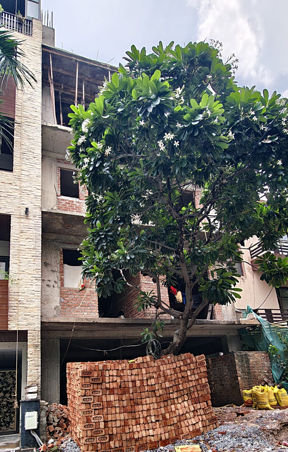 3 BHK Builder Floor, South City 1, Block N, Gurgaon
