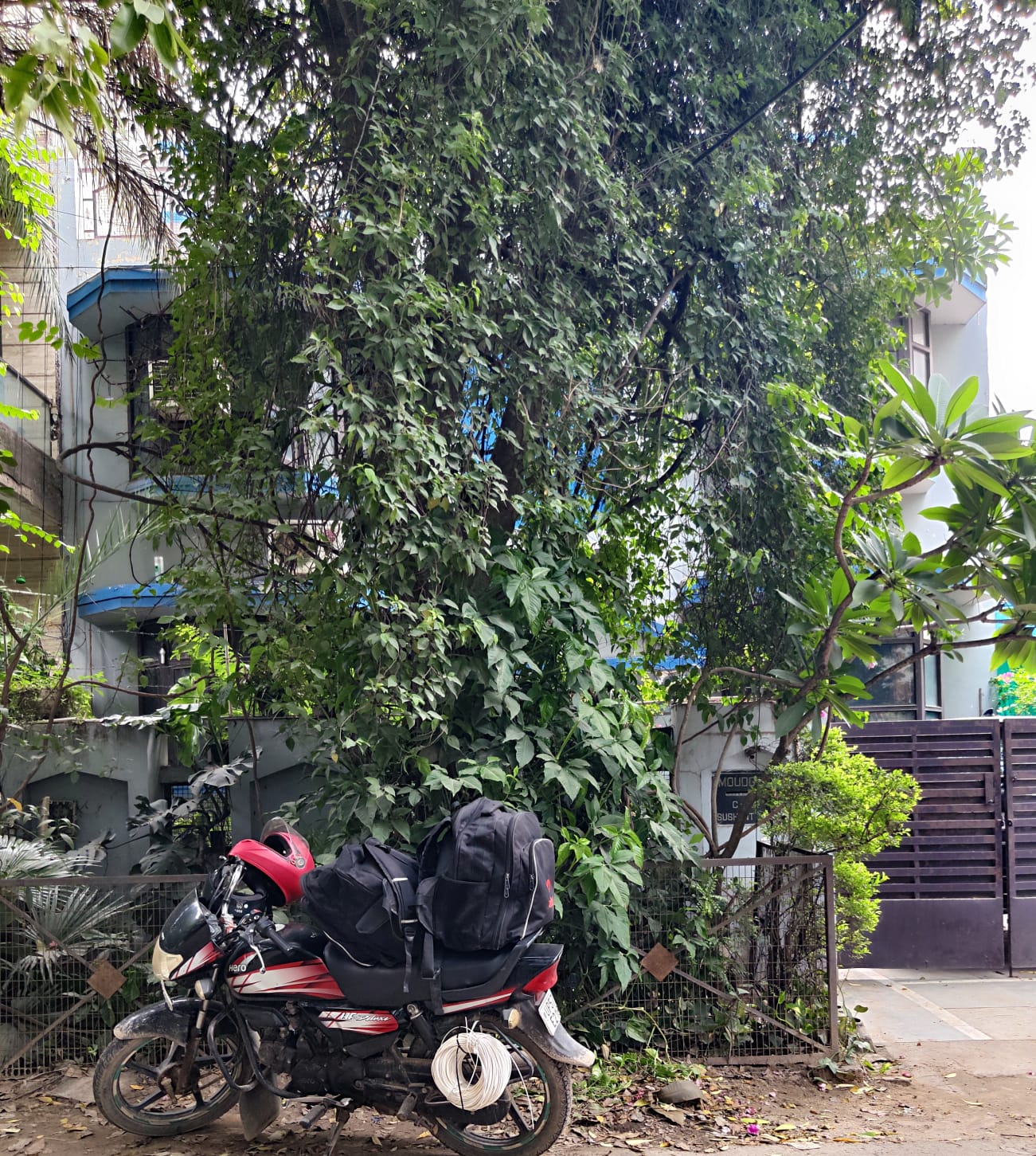 3 BHK Builder Floor, Sushant Lok 1, Block C, Gurgaon