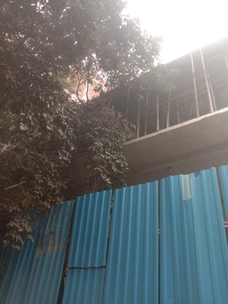 DLF Phase 2, Block N