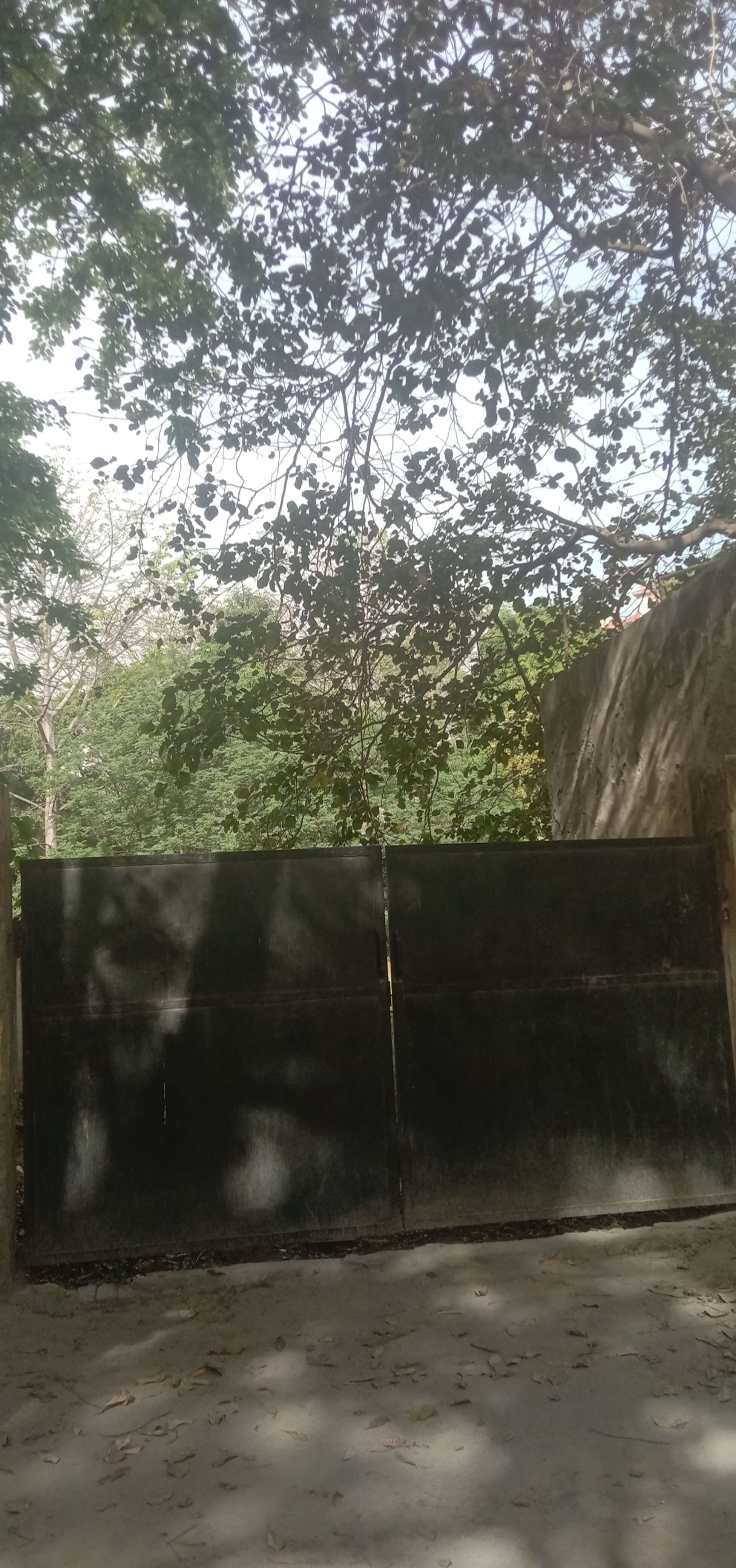 DLF Phase 2, Block N