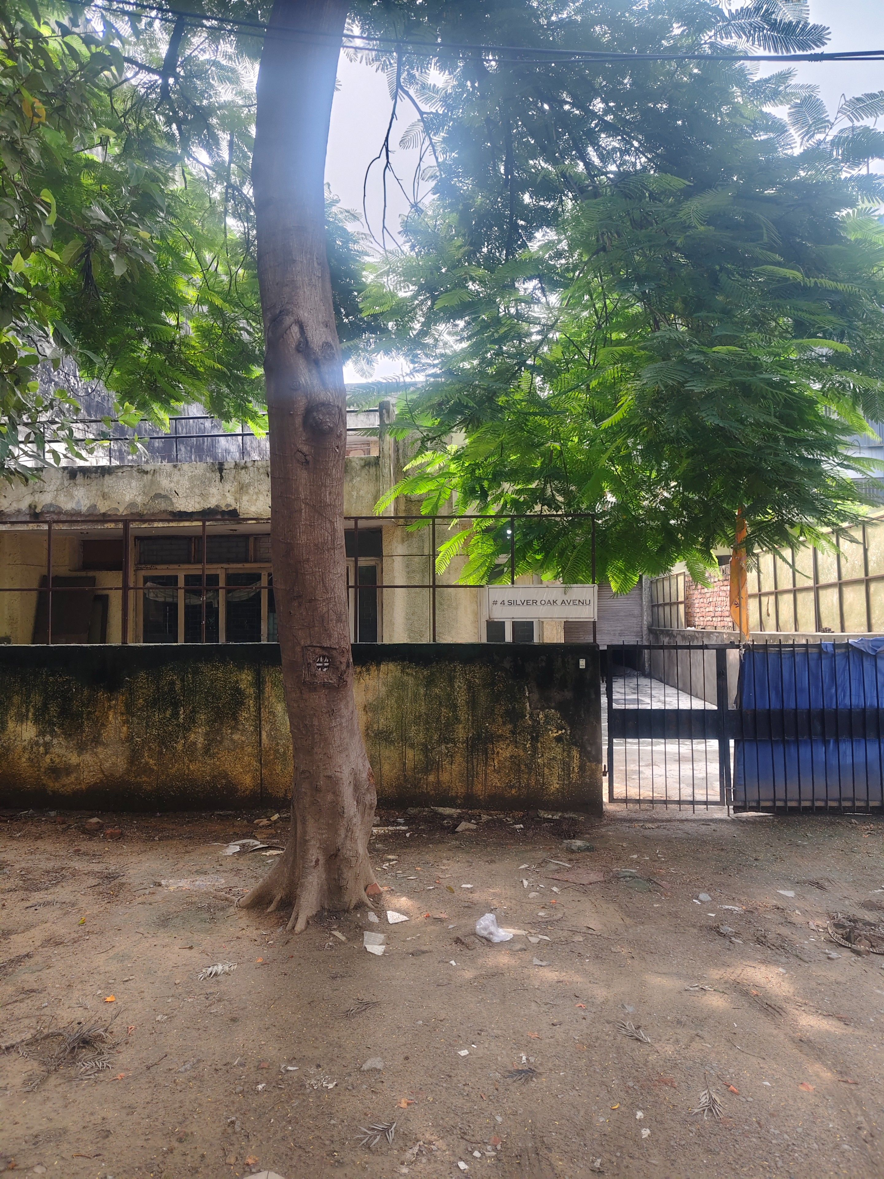 4 BHK Builder Floor, DLF Phase 1, Gurgaon