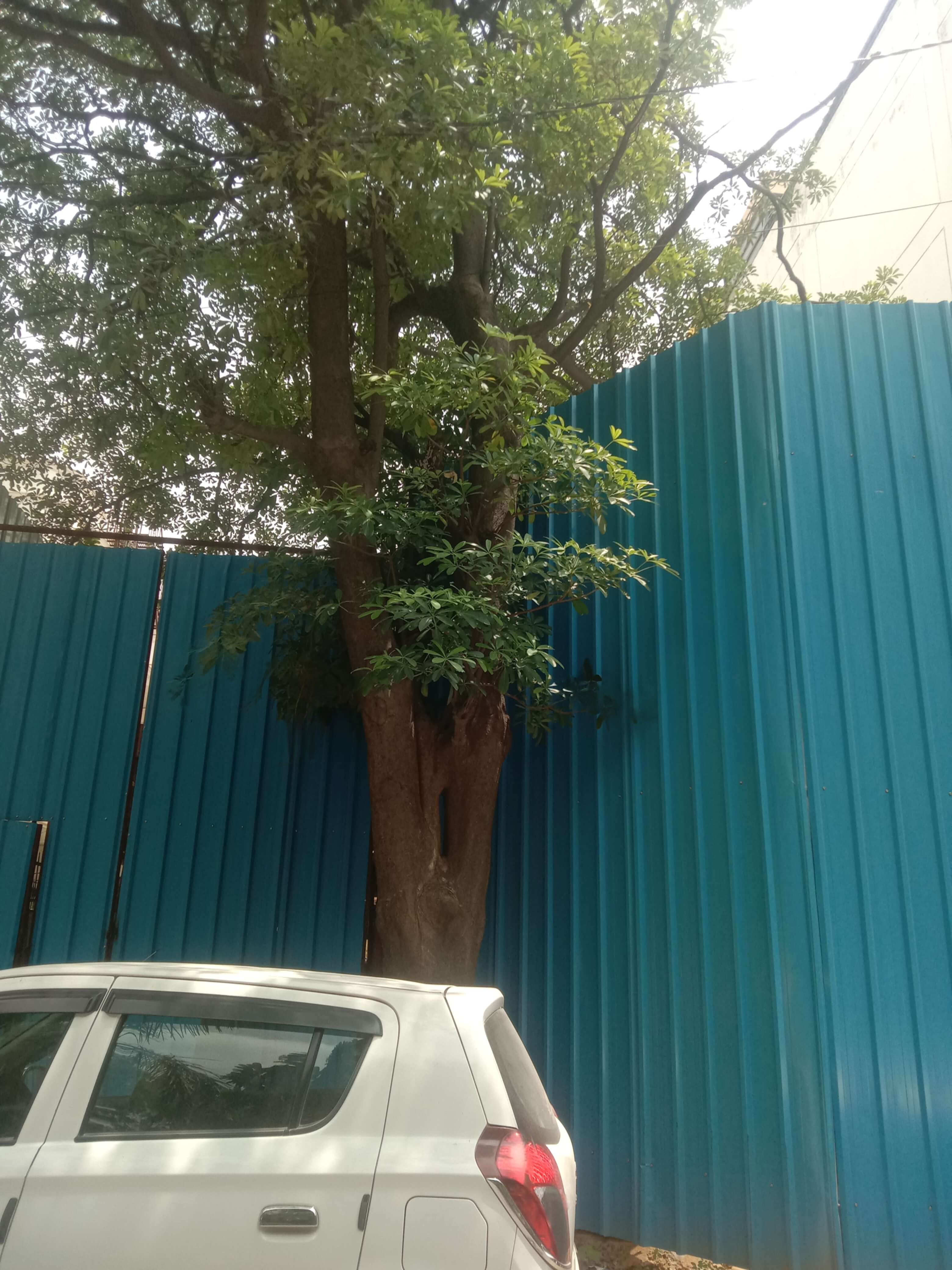 4 BHK Builder Floor, DLF Phase 4, Gurgaon
