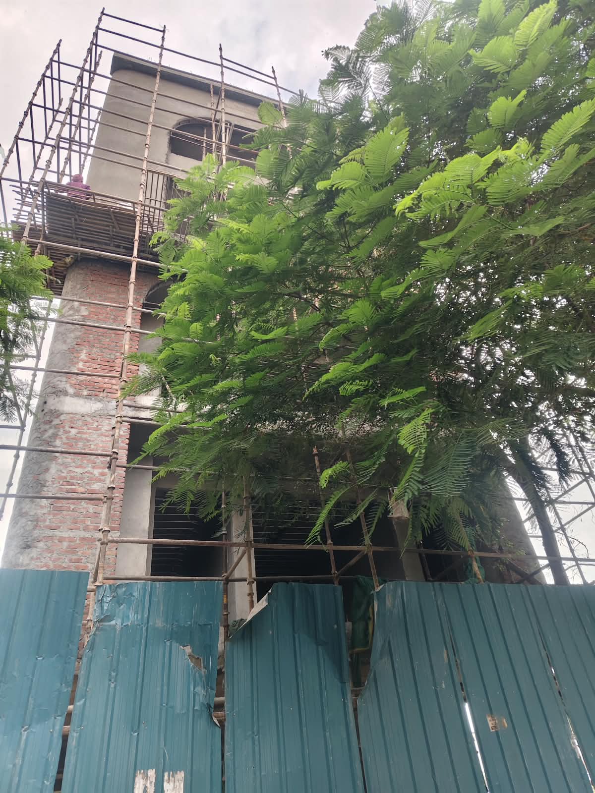 3 BHK Builder Floor, Emaar Emerald Hills, Gurgaon
