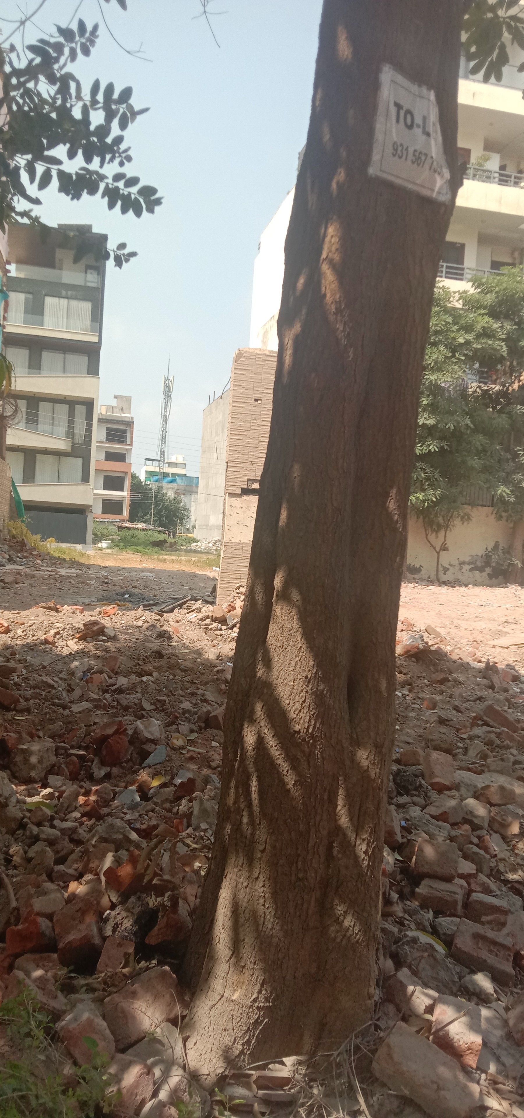 3 BHK Builder Floor, Sushant Lok 2, Block G, Gurgaon