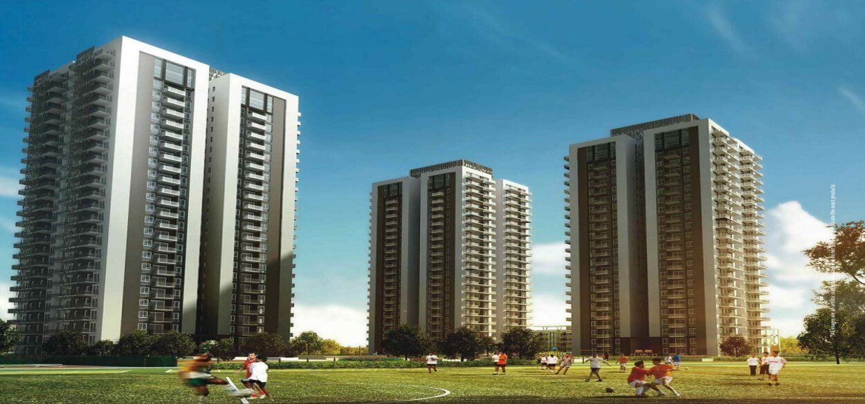 Conscient Heritage One