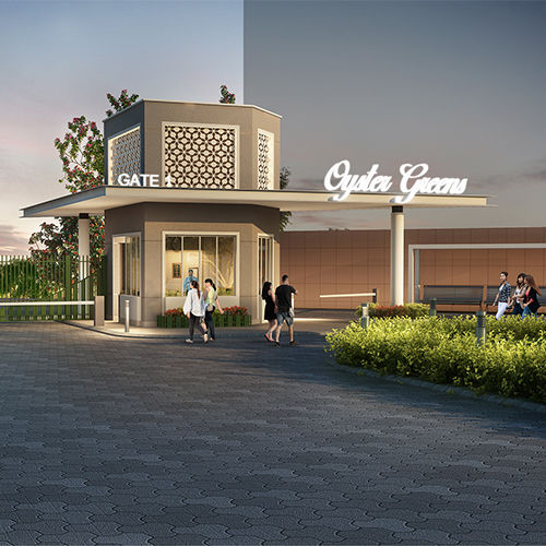Adani Oyster Greens