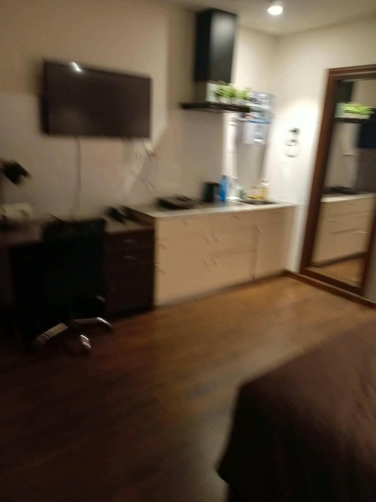 1 BHK Apartment, Satya Element One, Gurgaon