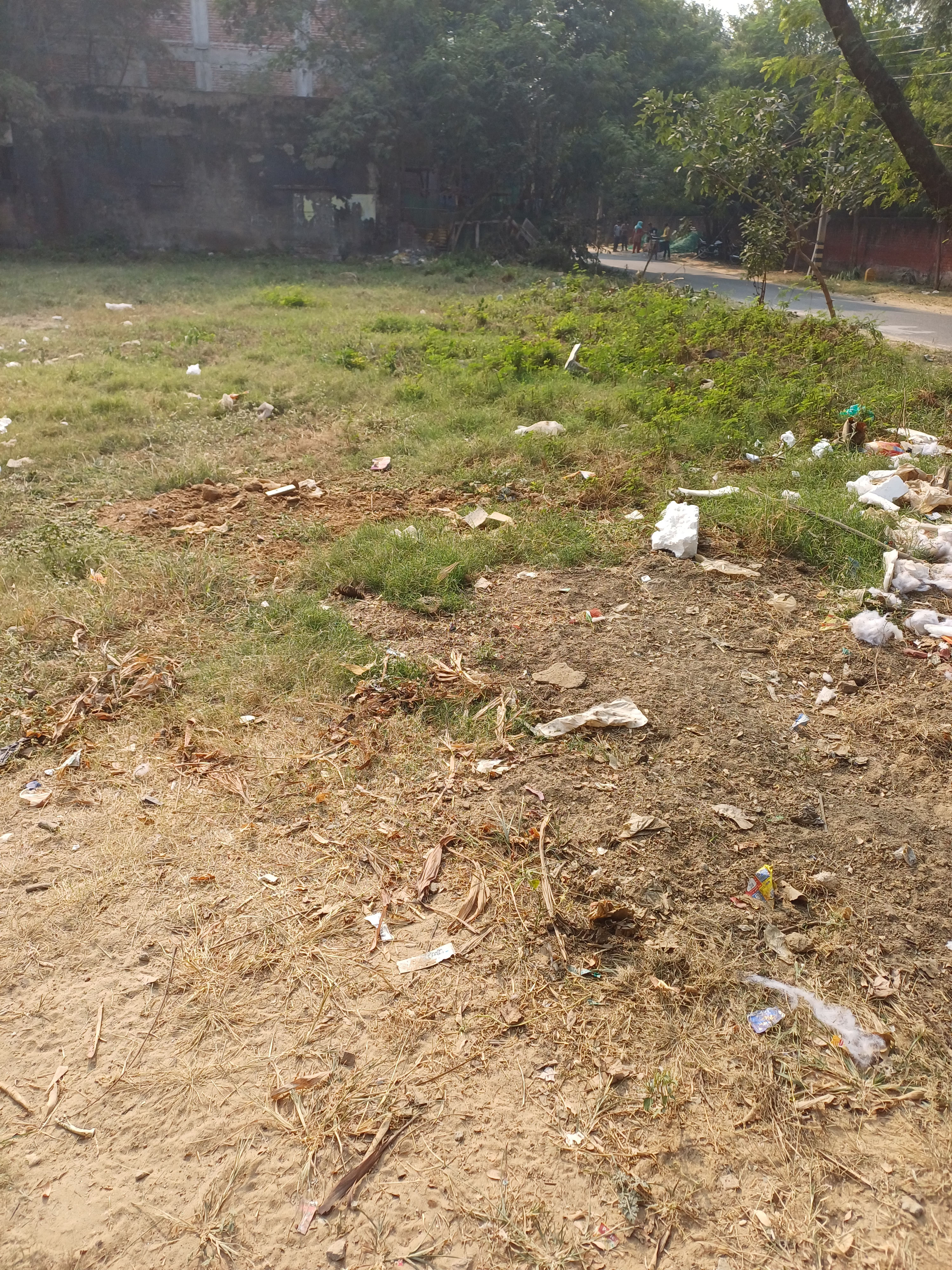 DLF Phase 2