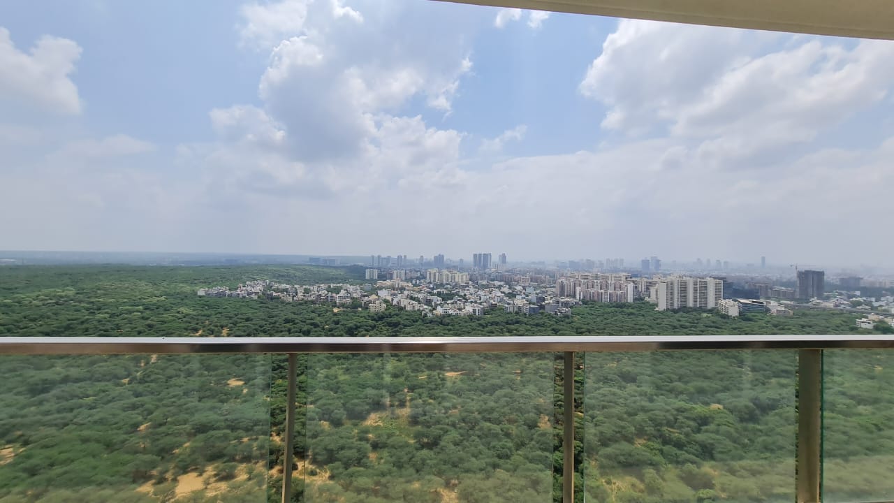 DLF Crest