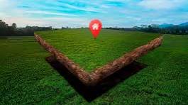 JMS The Nation