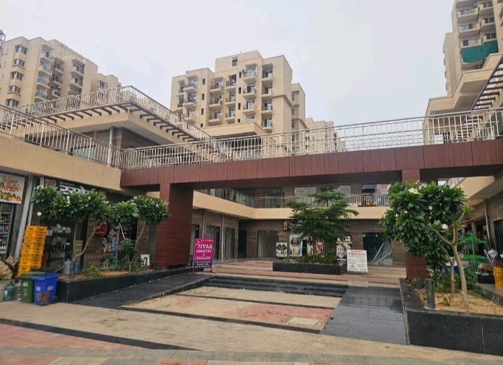 Orchard Avenue 2