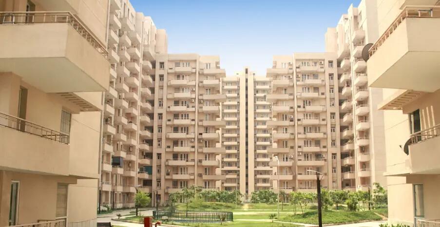 4 BHK Apartment, Tulip Violet, Gurgaon