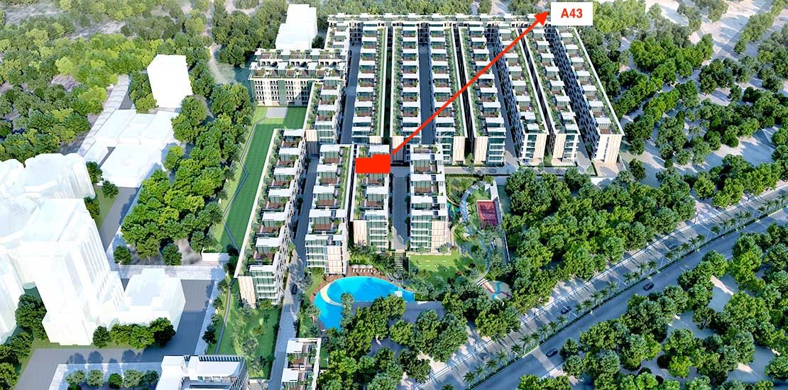 DLF Phase 2