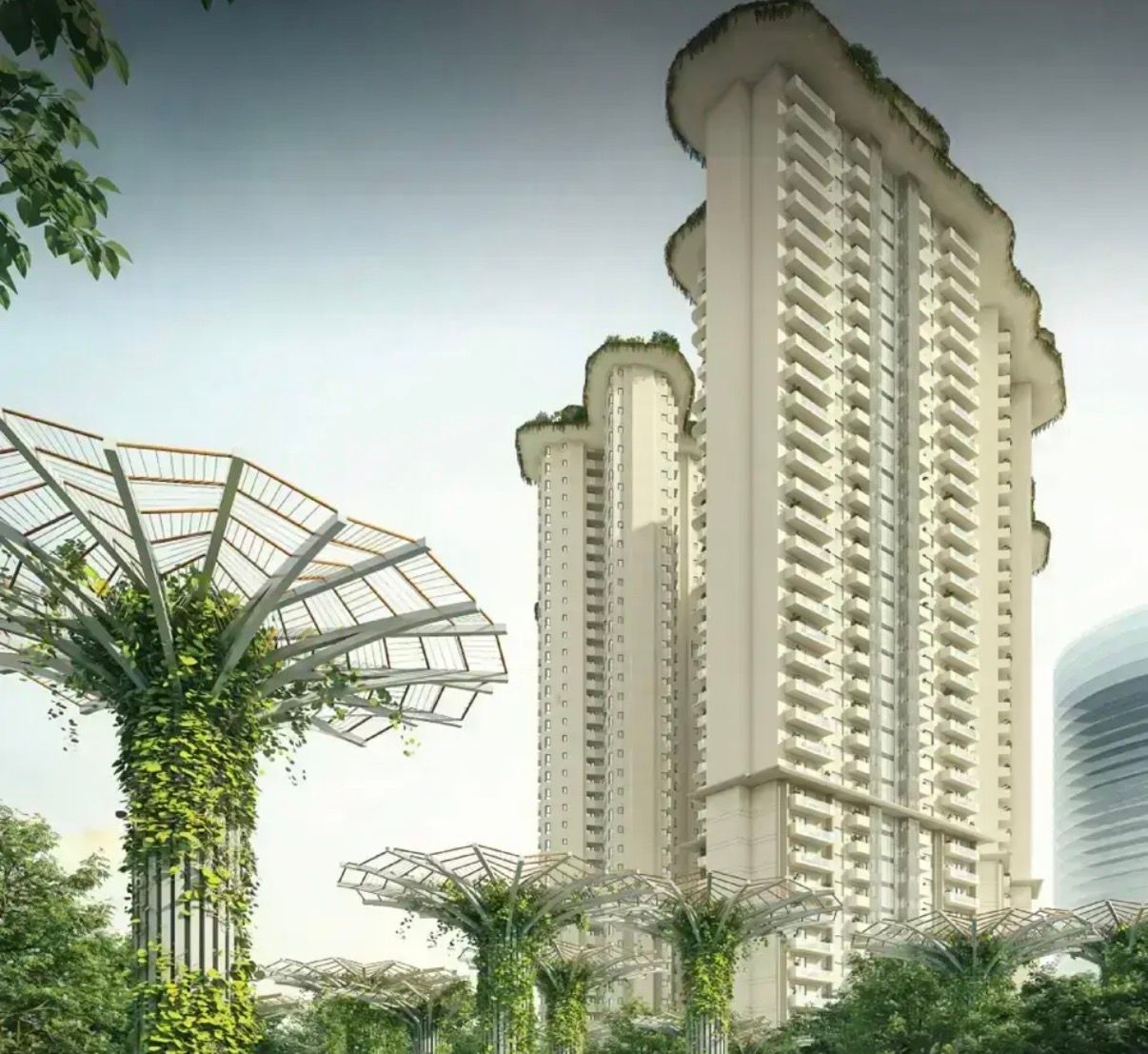 3 BHK Apartment, Tulip Monsella, Gurgaon