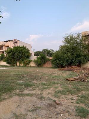 DLF Phase 3