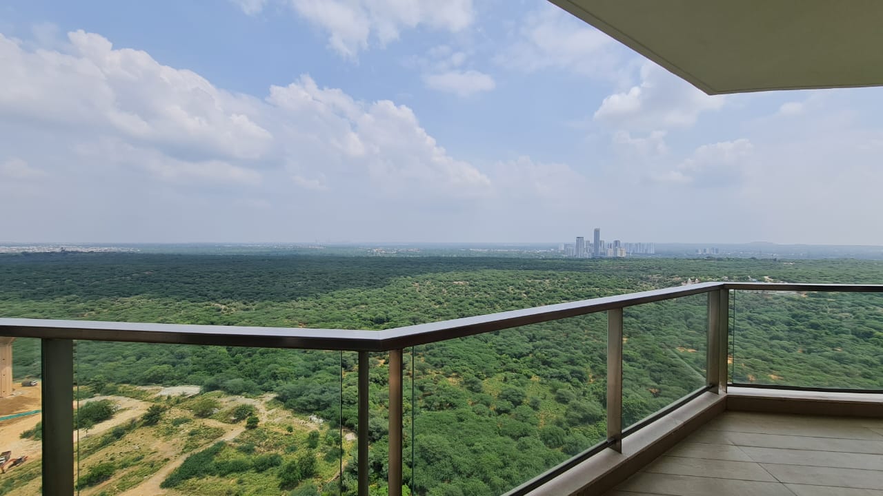 DLF Crest