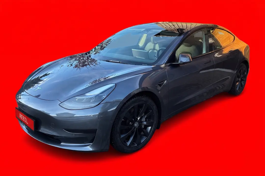 https://ik.imagekit.io/rebil/Gemini_Generated_Image_2odtxy2odtxy2odt_j2LnqzGQV.png