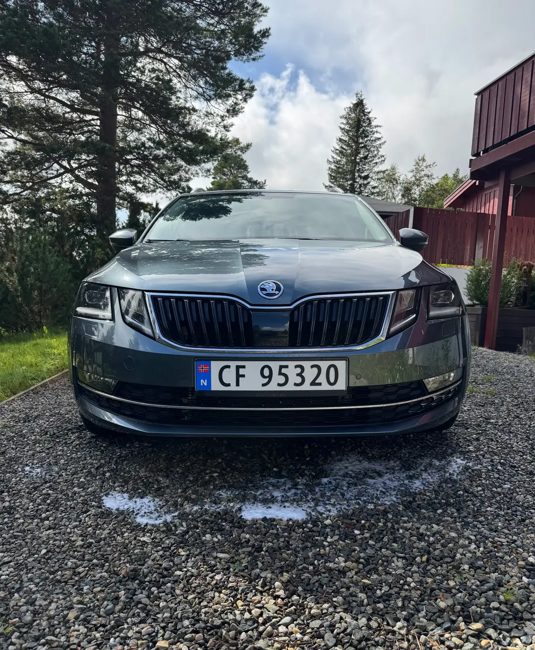 https://ik.imagekit.io/rebil/IMG_1188_2Y0joixWr.jpeg