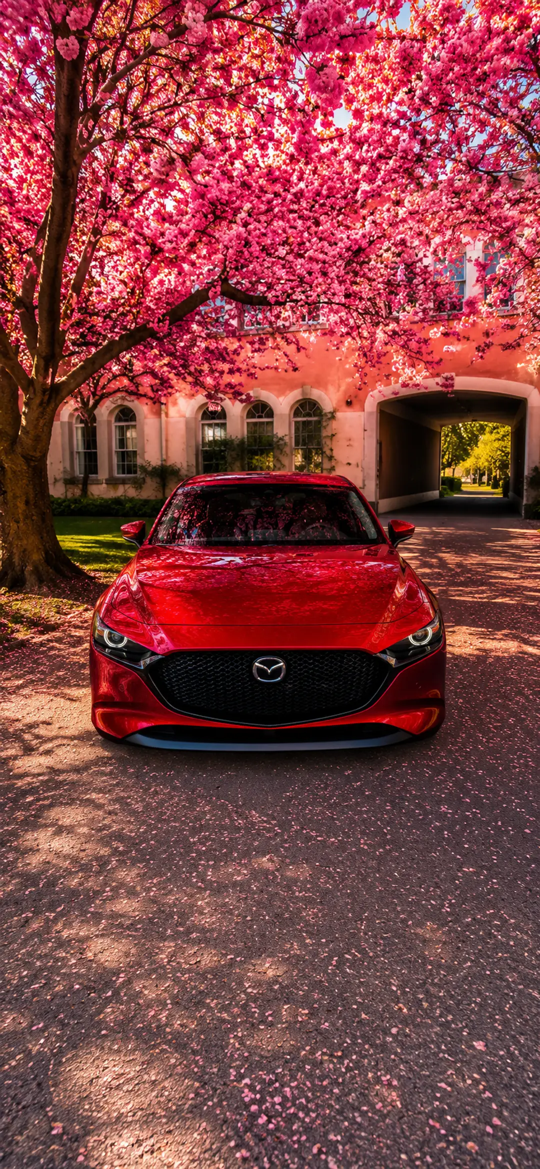 https://ik.imagekit.io/rebil/image_o5nvh6-MU.png