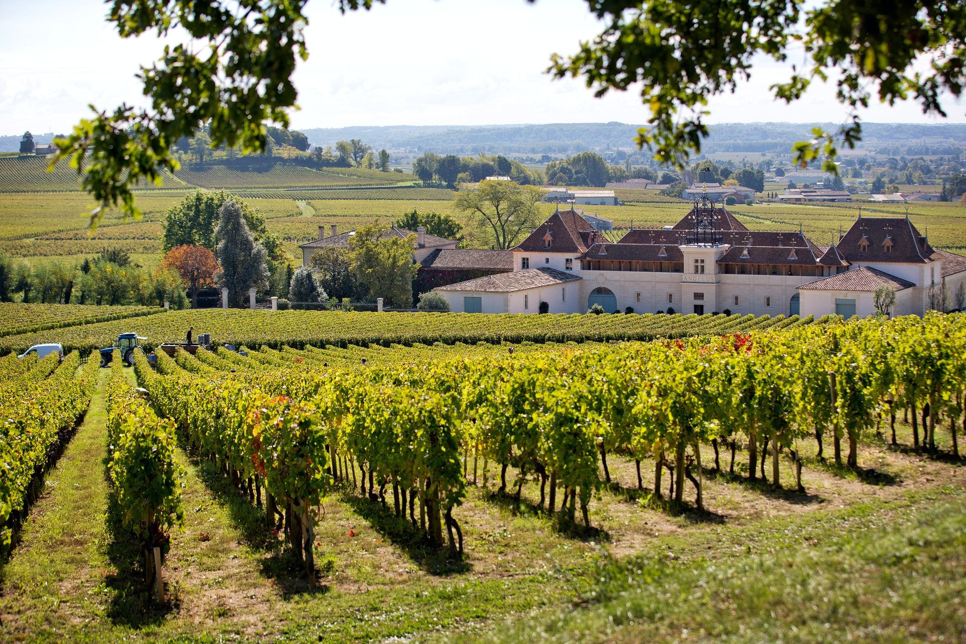 Château Pétrus 柏圖斯莊園一景，展現波美侯獨特風土
