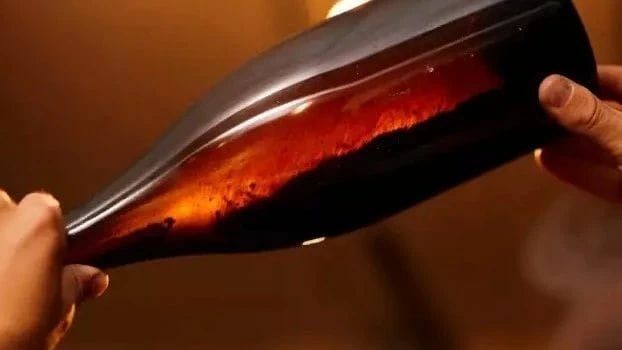 專業鑑定師檢查酒液顏色與沉澱物