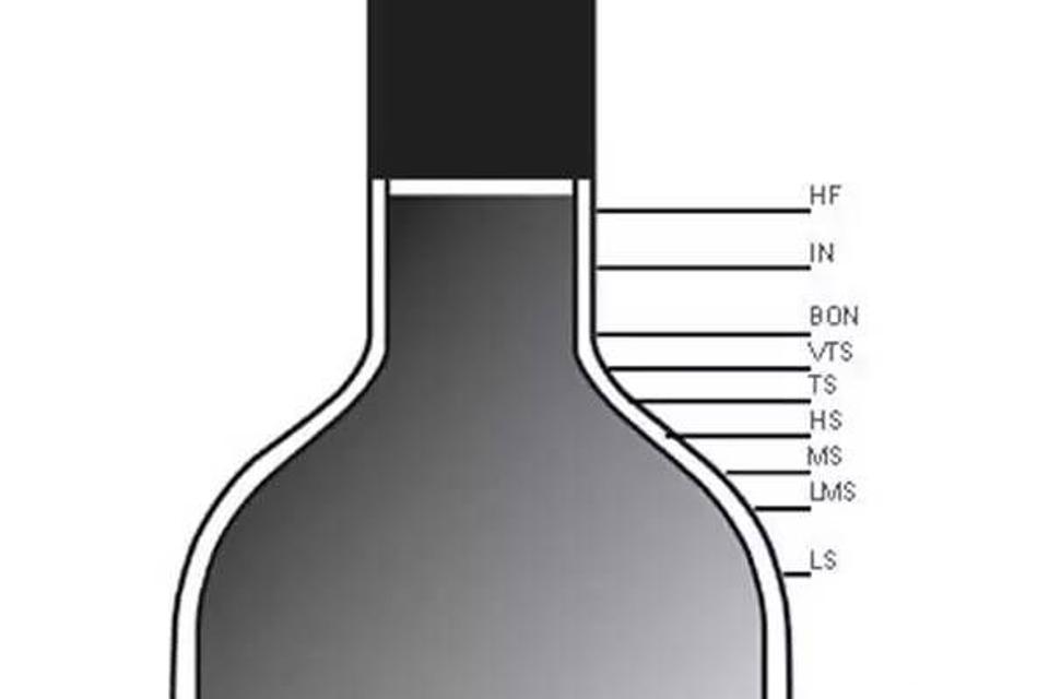 葡萄酒專業酒位 (Fill Level) 檢查圖
