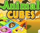 Animal Cubes